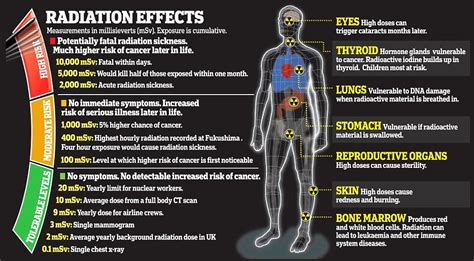 what does rf radiation mean cancer